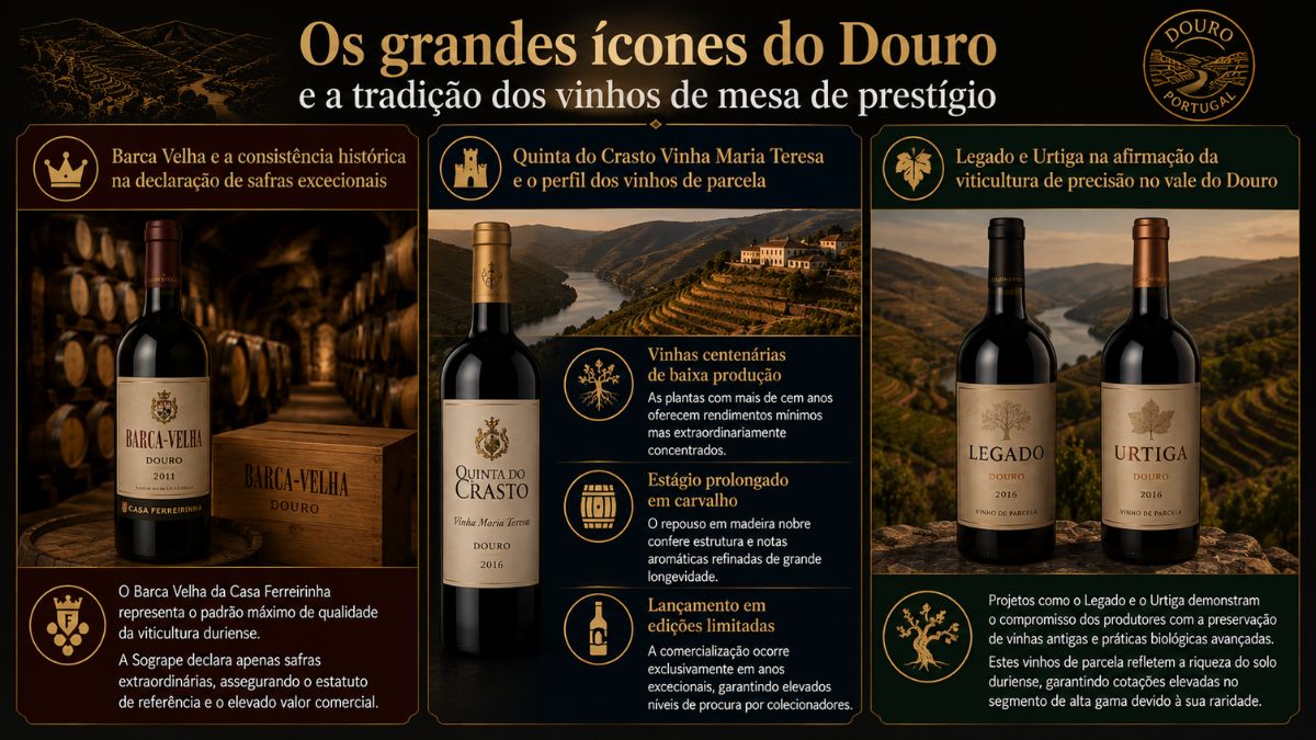 Infográfico sobre grandes ícones do Douro exibindo garrafas dos vinhos Barca Velha, Quinta do Crasto Vinha Maria Teresa, Legado e Urtiga.