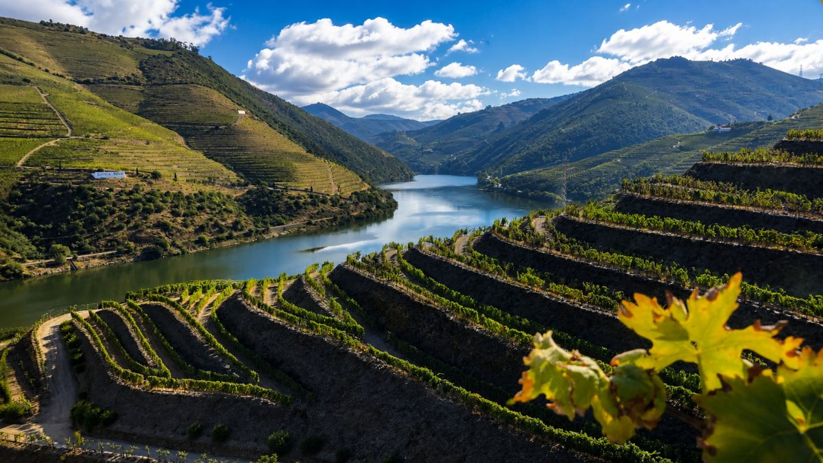 Vista panorâmica do Vale do Douro em Portugal exibindo vinhedos verdes plantados em socalcos nas encostas montanhosas íngremes às margens do rio sob céu azul com nuvens.