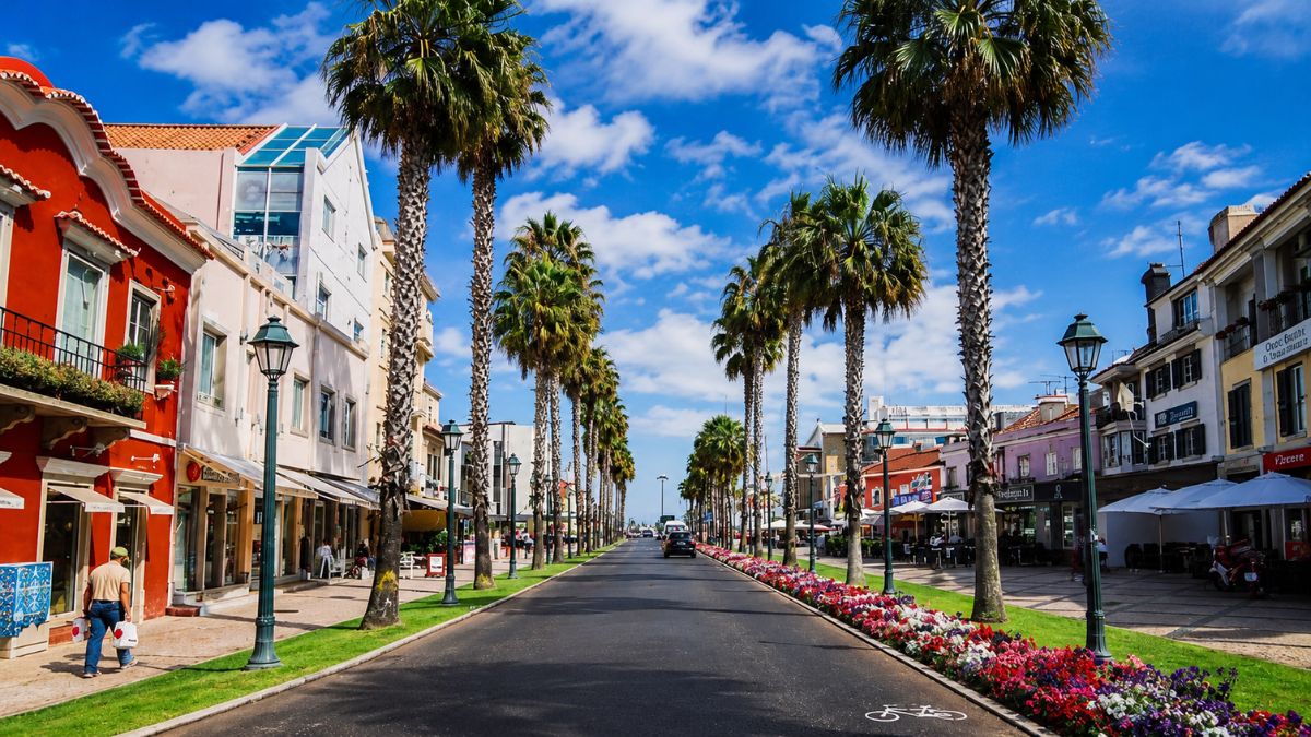 Vista da Avenida Valbom em Cascais com palmeiras altas, canteiros de flores coloridas, ciclovia e edifícios comerciais sob céu azul.