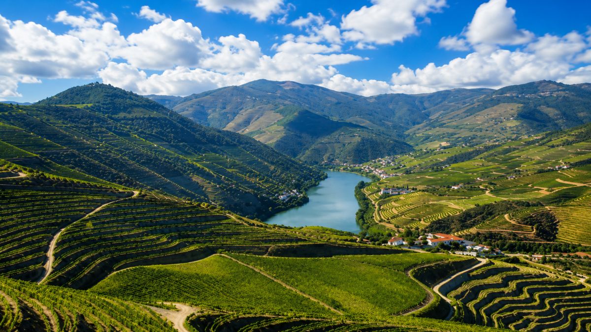 Vista panorâmica das colinas cobertas por vinhedos em socalcos ao longo de um rio na Região Vitivinícola do Dão em Portugal.