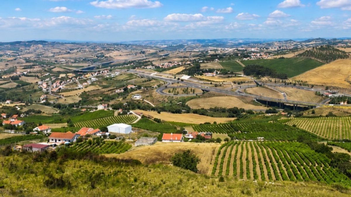 Vista aérea panorâmica da paisagem rural de Arruda dos Vinhos em Portugal com extensos vinhedos verdes, campos agrícolas e colinas sob céu azul com nuvens.